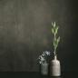 Klatt Objects Vase Anna lines