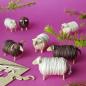 Piet Design Schafe Bausatz