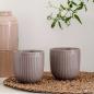 Eva Solo 2er Set Legio Nova Tasse 34