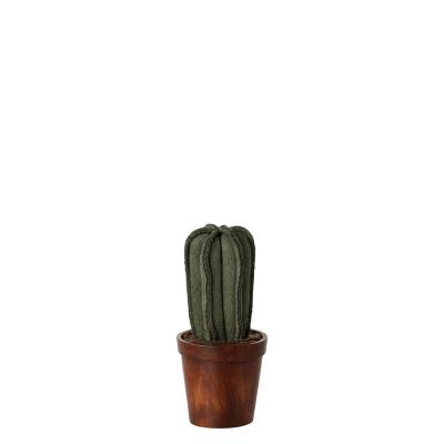 Maileg Kaktus mit Blumentopf