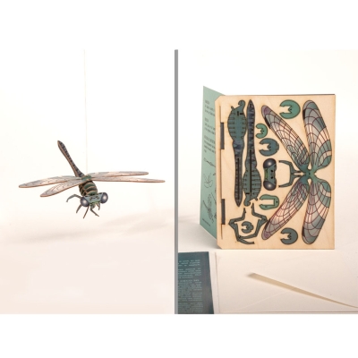 Formes 3D Grusskarte Libelle