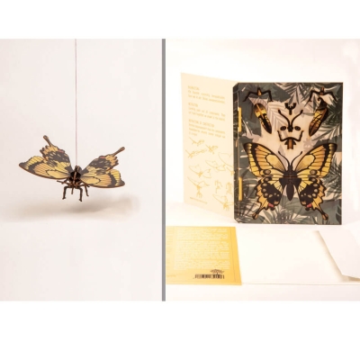 Formes 3D Grusskarte Schmetterling