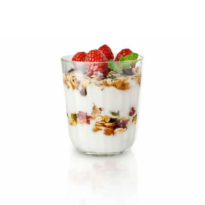 Eva Solo 6er Set Facettengläser 0,27 Liter