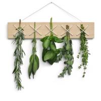 Side by Side Kräutertrockner CRISS CROSS - Esche